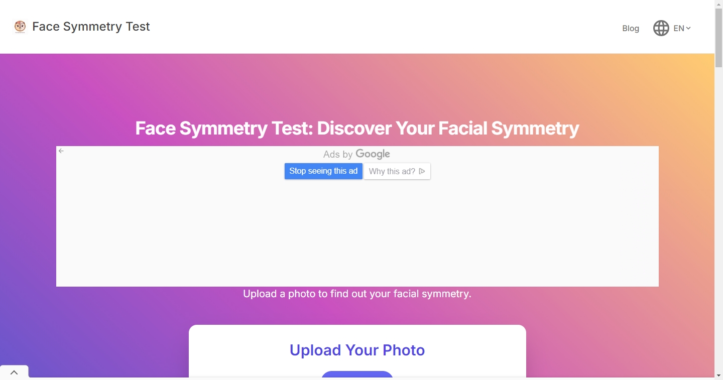 Face Symmetry Test